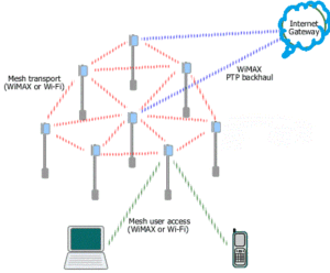 Mesh Network