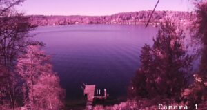 Purple Image during the day