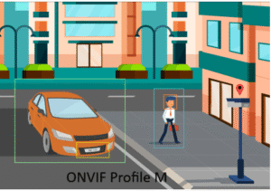 Profile M